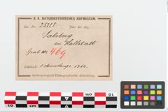 Etikett zu Eisengriffangelmesser (NHMW-PRAE-025115)
